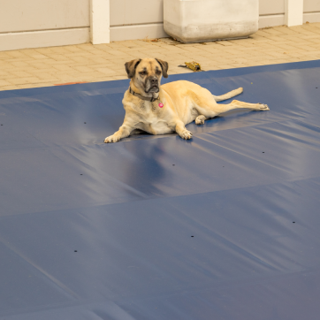 Dog laying on top of a pol cover